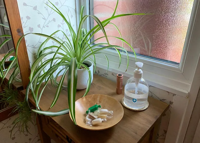 Σπίτι διακοπών Self Contained Guest *